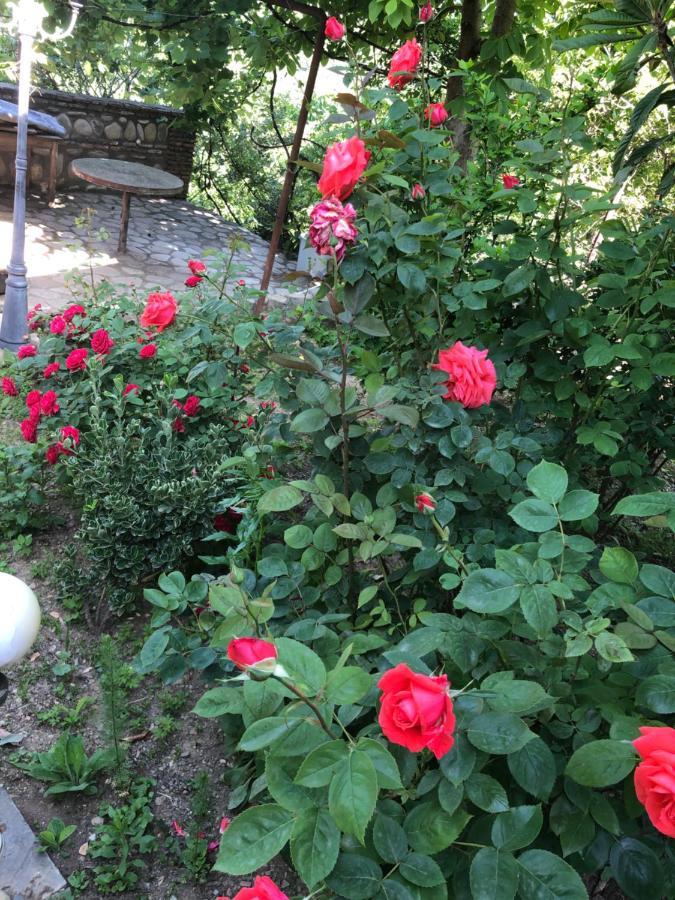 Mate Guesthouse Sighnaghi Bagian luar foto